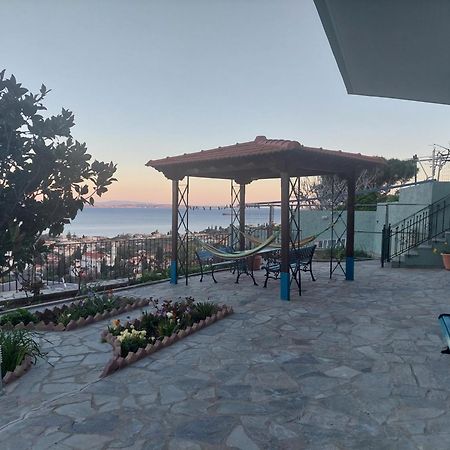 Depys' View Villa Vrontádos Eksteriør billede
