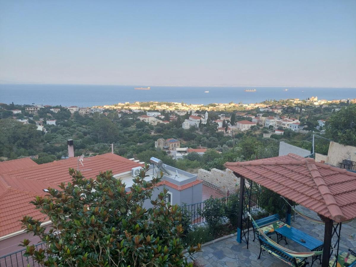 Depys' View Villa Vrontádos Eksteriør billede